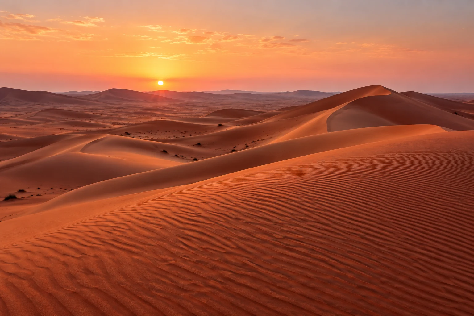 Untouched Arabian desert dunes in the morning light